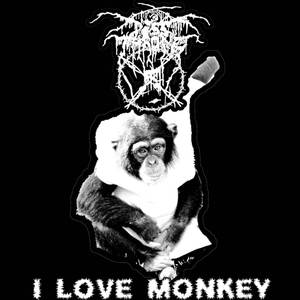 I Love Monkey