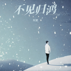 不见归鸿 (摇滚版)