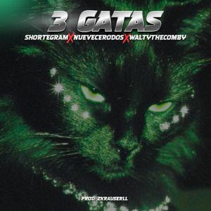 3 GATAS