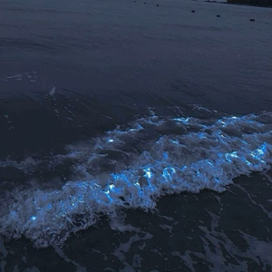 hardrock x untiljapan type beat