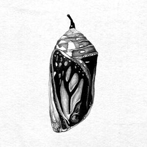 Shrine (Give Me a Chance)