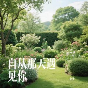 自从那天遇见你 (Cover 雨中百合)