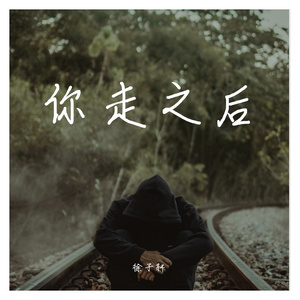 你走之后