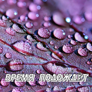 ВРЕМЯ ПОДОЖДЁТ