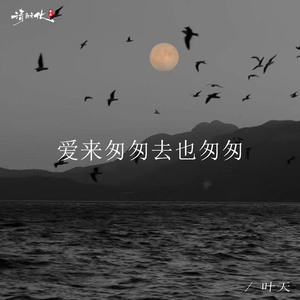 爱来匆匆去也匆匆