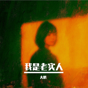 我是老实人