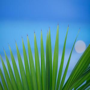 今天阳光明媚 A Sunny Fresh Day - 原创电子音乐