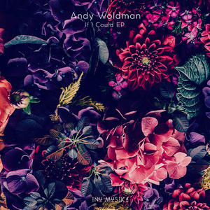 If I Could (Jaskyne Remix)