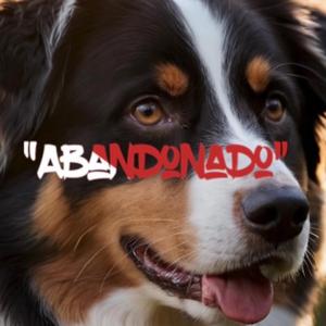 Abandonado