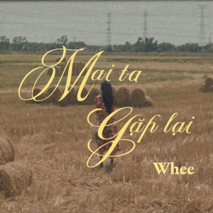 Mai Ta Gặp Lại
