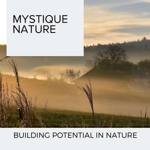 Calming Gurgling Water