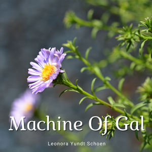 Magic For Everything