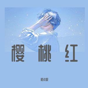 樱桃红(电音男版)