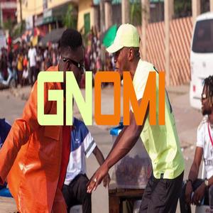 GNOMI