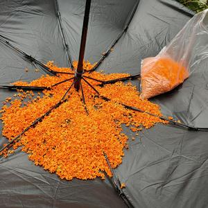 平凡之路--眼角（cover朴树）