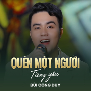 Quên Một Người Từng Yêu (Lofi)