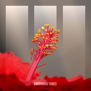 Own the Night (Henri (BR) Remix)