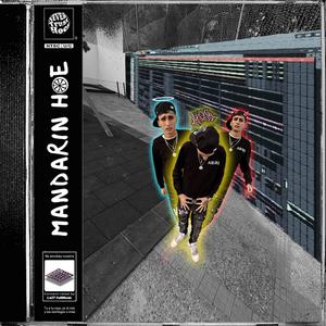 Gata Michu (feat. Delajota) (Jerk Remixxx)