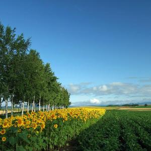 我中了你下的毒