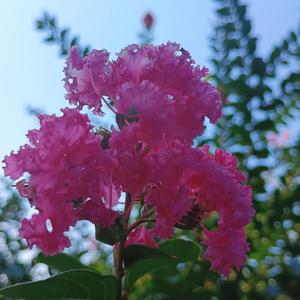 Remember Who You Are