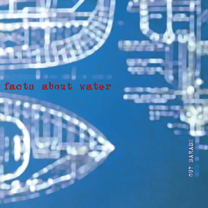 Wrong Ocean:I. Brack