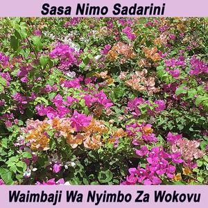 Sasa Nimo Sadarini 2