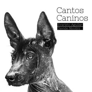 Territorio Xoloitzcuintle