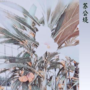 苏公堤（清新版）（翻自 杨一歌）