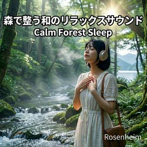 帰り道のリラックス音楽｜Relaxing Music for the Way Home