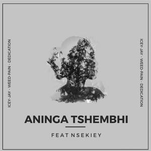 Aninga Tshembhi (feat. Ke WeeD, Dedication & Nsekiey)