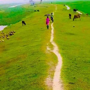 হ্যাঁ, এনরিকে.