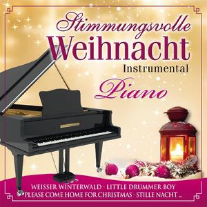 Weisser Winterwald