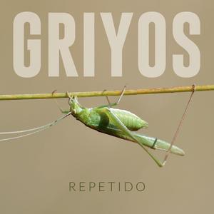 Repetido