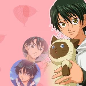 月亮代表我的心（吉他版）