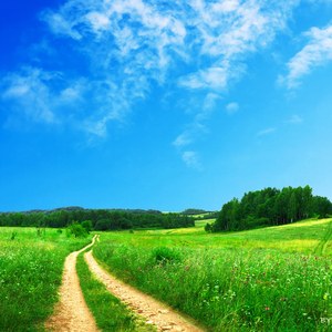 出走（重制版）