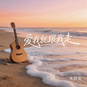 爱我就跟我走(抖音飙升版）