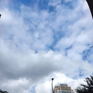 Duhai Senangnya Bos Kita Dirumah