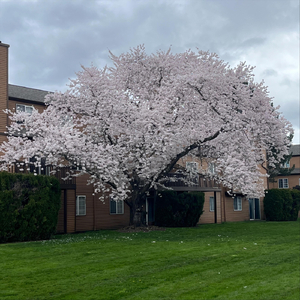 I'm Not a Good Person, I'm Barely a Person at All