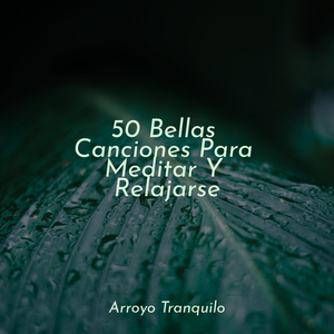 Melocotoneros Tranquilos