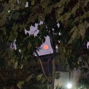 当我第一次见到