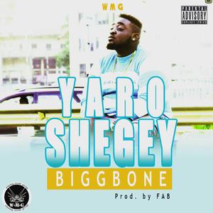 Yaro Shegey