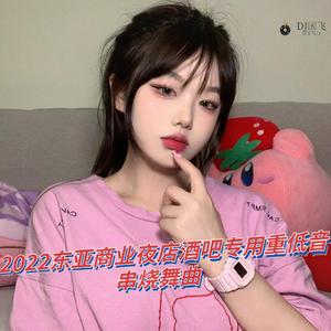 DJ国飞-2022东亚商业夜店酒吧专用重低音串烧舞曲（DJ国飞 remix）