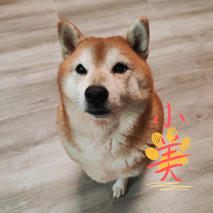 小美