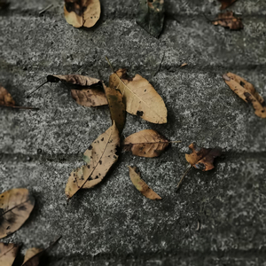 #百万奖金AI创作大赛+主题三