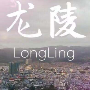 Z.龙陵