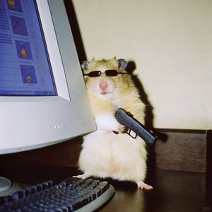 暖阳下的宁静角落