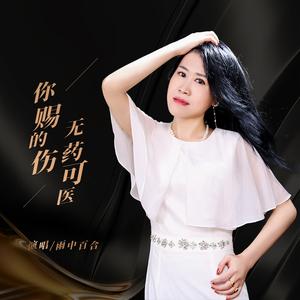 你赐的伤无药可医