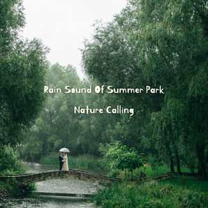 여름 공원의 빗소리