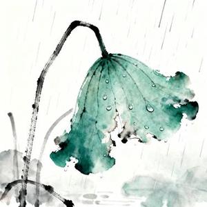 残荷听雨
