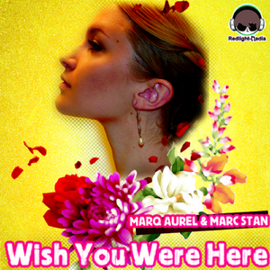 Wish You Were Here (DJ-V ItaloDance Remix)